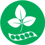 Soja y productos a base de soja